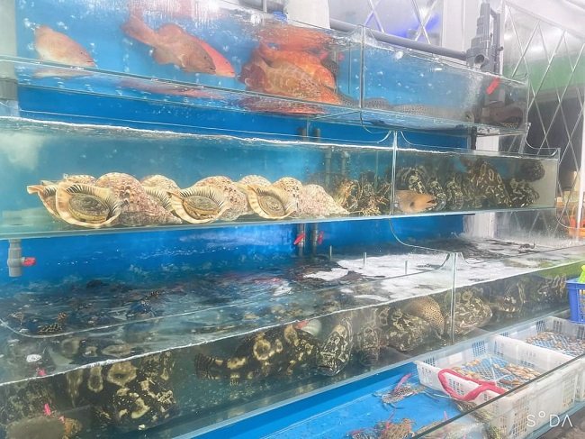 Vay 200 triệu để khởi nghiệp, 9x Nam Định thu về hàng trăm triệu mỗi tháng - 2