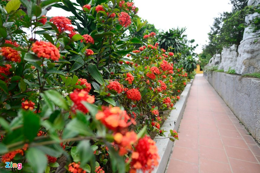 Dien tho 'khung' o Thai Binh anh 16