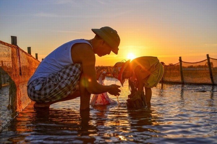 Bắt ốc trên biển Đồng Châu Bắt ốc trên biển Đồng Châu