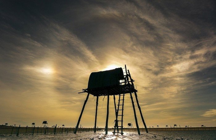 Chòi canh nắng ẩn đằng sau Chòi canh nắng ẩn đằng sau