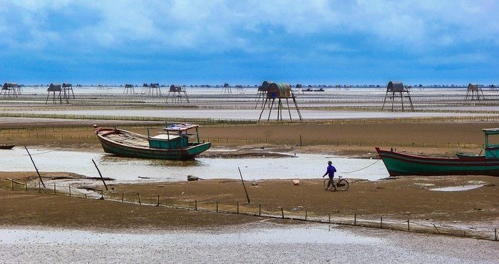 Dạo chơi ngắm cảnh bốn bề ngát hương Dạo chơi ngắm cảnh bốn bề ngát hương