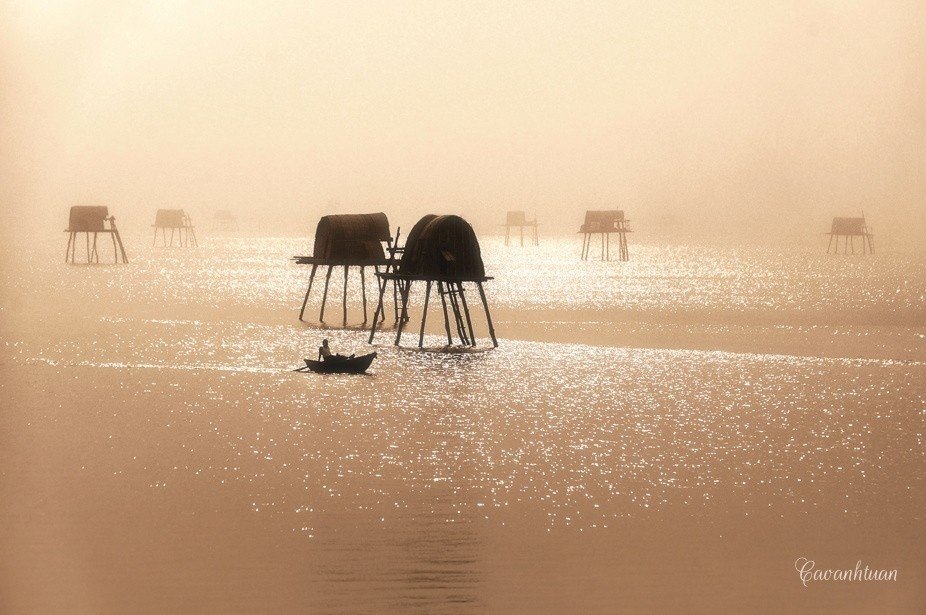 Tỏa hào quang, soi mặt nước long lanh Tỏa hào quang, soi mặt nước long lanh