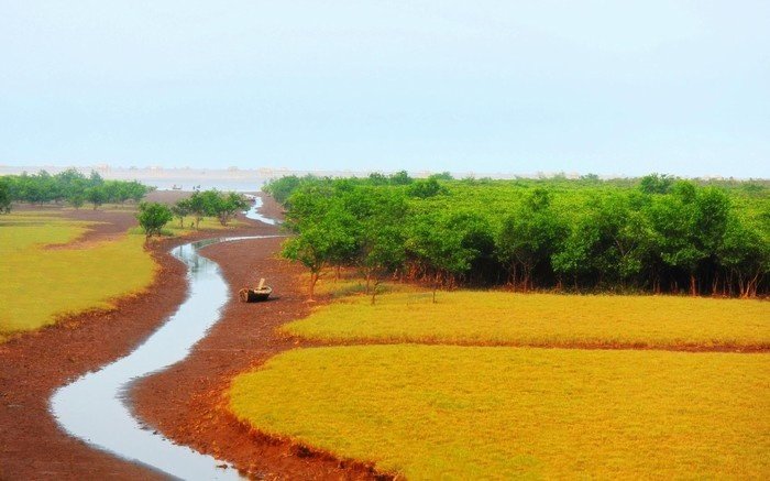 Rừng nước biển Đồng Châu Rừng nước biển Đồng Châu