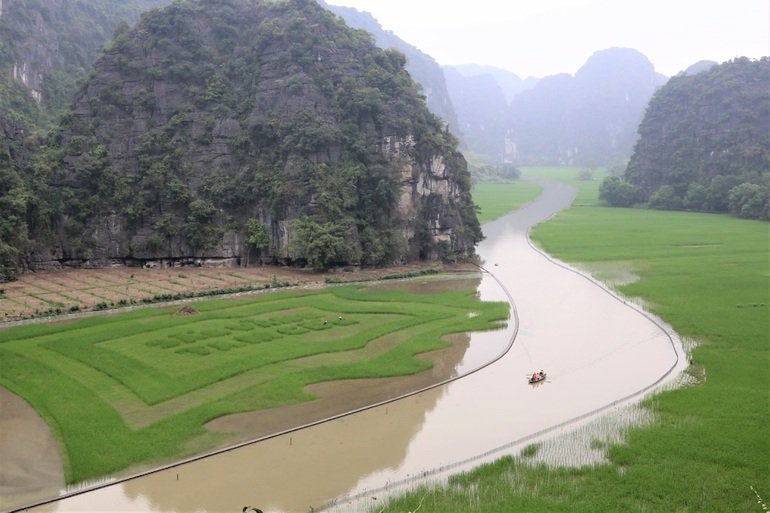 Trầm trồ cánh đồng lúa hình lá cờ hội khổng lồ đẹp như tranh ở Tam Cốc - 7
