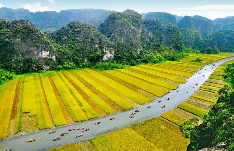 Trầm trồ cánh đồng lúa hình lá cờ hội khổng lồ đẹp như tranh ở Tam Cốc - 8