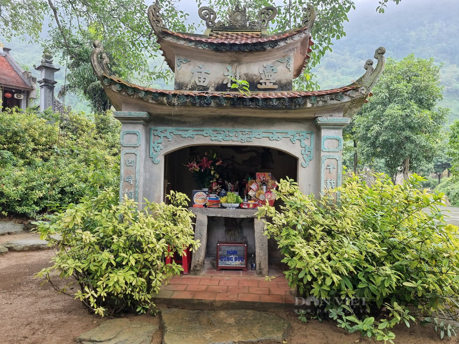 Chuyện lạ cây đa hơn 1.000 năm “di chuyển” ở Ninh Bình - Ảnh 9. Chuyện lạ cây đa hơn 1.000 năm “di chuyển” ở Ninh Bình - Ảnh 9.