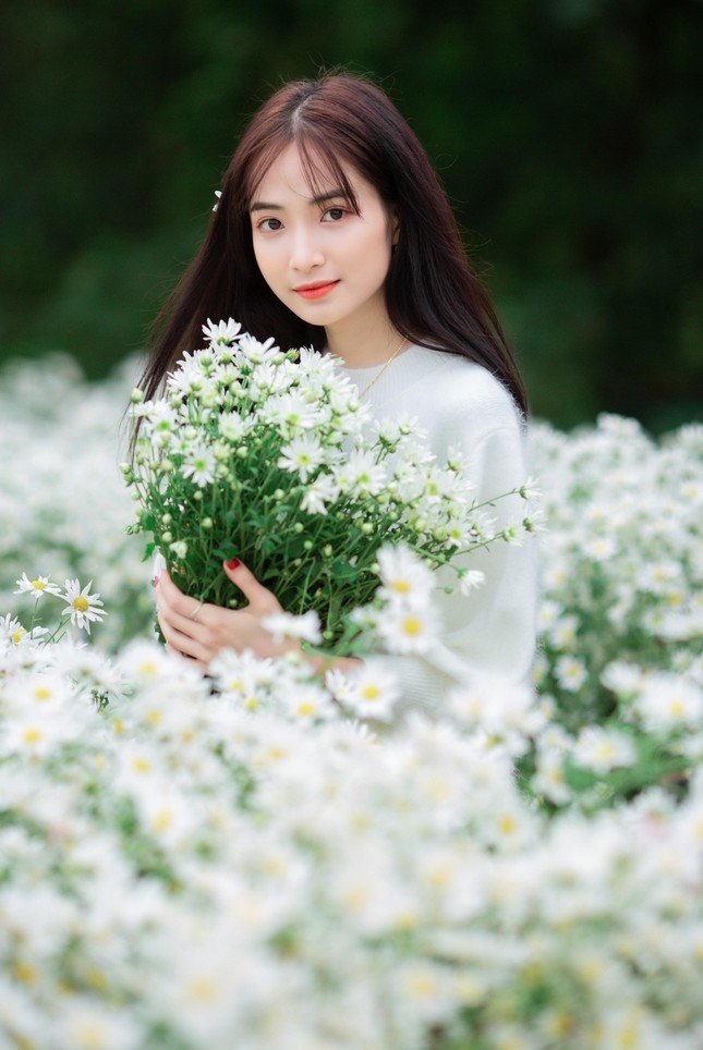 Hot girl Nam Định đẹp ‘tựa nắng mai’ giữa vườn hoa báo đông ảnh 2