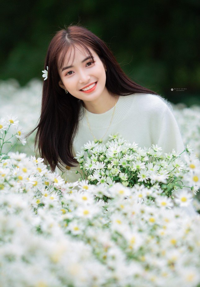 Hot girl Nam Định đẹp ‘tựa nắng mai’ giữa vườn hoa báo đông ảnh 3