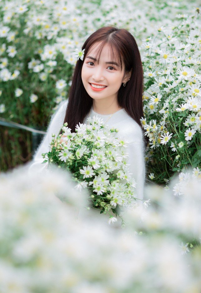 Hot girl Nam Định đẹp ‘tựa nắng mai’ giữa vườn hoa báo đông ảnh 4
