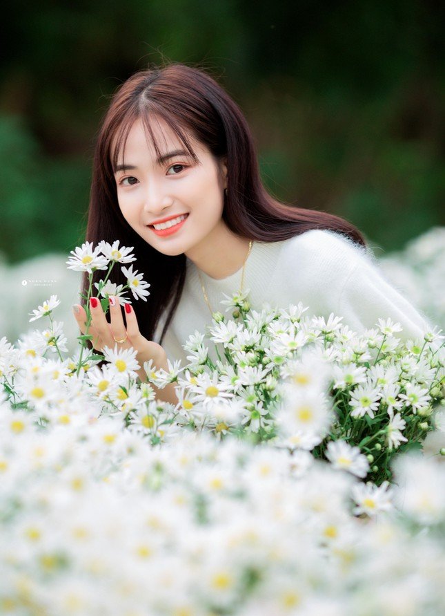 Hot girl Nam Định đẹp ‘tựa nắng mai’ giữa vườn hoa báo đông ảnh 5