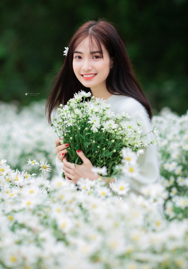 Hot girl Nam Định đẹp ‘tựa nắng mai’ giữa vườn hoa báo đông ảnh 6