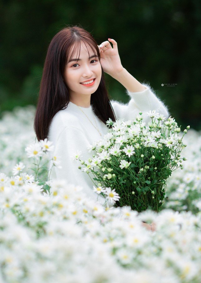 Hot girl Nam Định đẹp ‘tựa nắng mai’ giữa vườn hoa báo đông ảnh 8