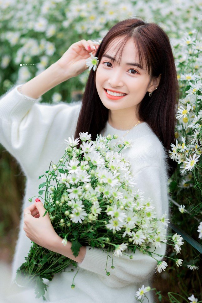 Hot girl Nam Định đẹp ‘tựa nắng mai’ giữa vườn hoa báo đông ảnh 1