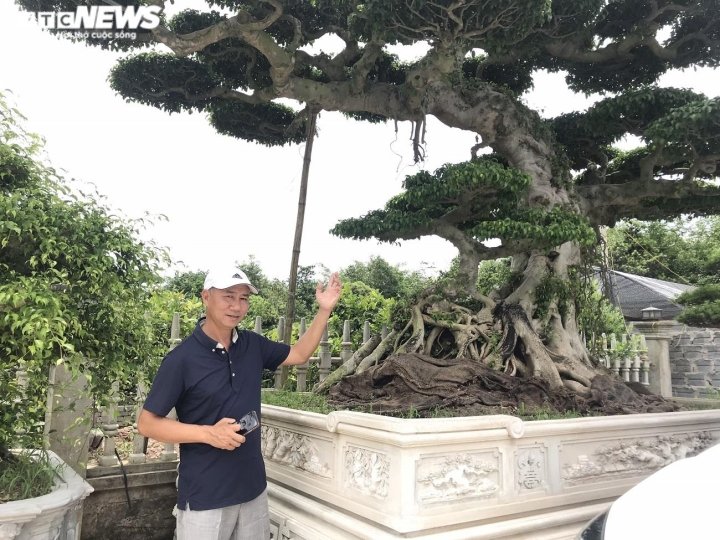 Ảnh: Làng siêu cây cảnh ở Nam Định - 6