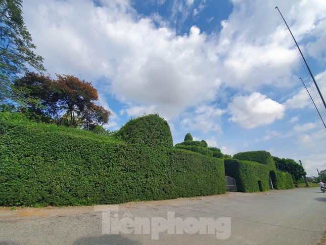 Độc đáo ngôi đình bao quanh bằng ruối cổ, thờ nữ tình báo đầu tiên của chính sử Việt Nam ảnh 1