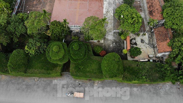 Độc đáo ngôi đình bao quanh bằng ruối cổ, thờ nữ tình báo đầu tiên của chính sử Việt Nam ảnh 2