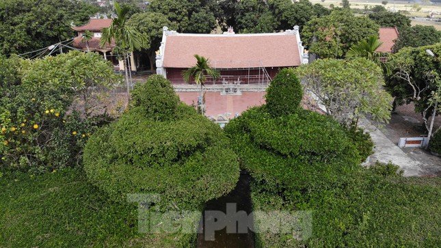 Độc đáo ngôi đình bao quanh bằng ruối cổ, thờ nữ tình báo đầu tiên của chính sử Việt Nam ảnh 3