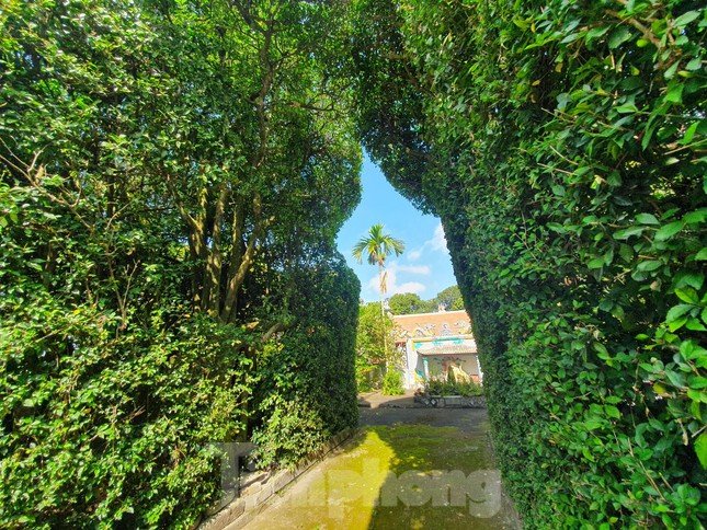 Độc đáo ngôi đình bao quanh bằng ruối cổ, thờ nữ tình báo đầu tiên của chính sử Việt Nam ảnh 5