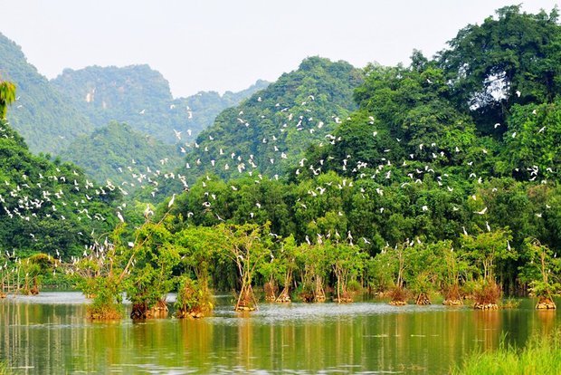 Đến Ninh Bình, đừng chỉ sống ảo với Hang Múa hay Tràng An mà bỏ qua nhiều cảnh sắc đẹp và hùng vĩ không kém - Ảnh 12. Đến Ninh Bình, đừng chỉ sống ảo với Hang Múa hay Tràng An mà bỏ qua nhiều cảnh sắc đẹp và hùng vĩ không kém - Ảnh 12.