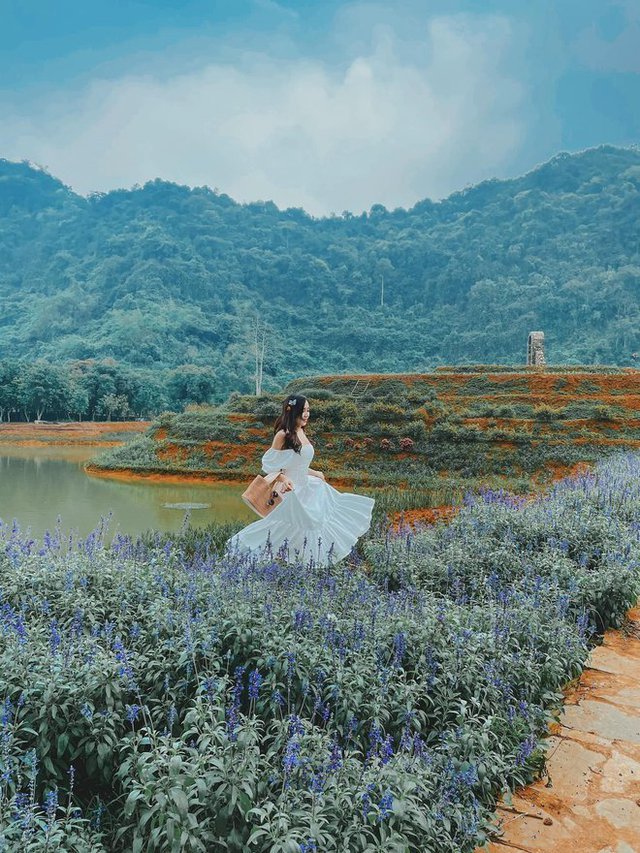 Đến Ninh Bình, đừng chỉ sống ảo với Hang Múa hay Tràng An mà bỏ qua nhiều cảnh sắc đẹp và hùng vĩ không kém - Ảnh 14. Đến Ninh Bình, đừng chỉ sống ảo với Hang Múa hay Tràng An mà bỏ qua nhiều cảnh sắc đẹp và hùng vĩ không kém - Ảnh 14.