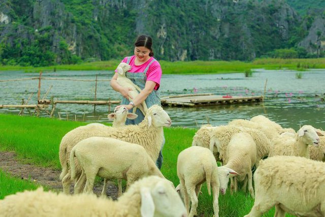 Đến Ninh Bình, đừng chỉ sống ảo với Hang Múa hay Tràng An mà bỏ qua nhiều cảnh sắc đẹp và hùng vĩ không kém - Ảnh 5. Đến Ninh Bình, đừng chỉ sống ảo với Hang Múa hay Tràng An mà bỏ qua nhiều cảnh sắc đẹp và hùng vĩ không kém - Ảnh 5.