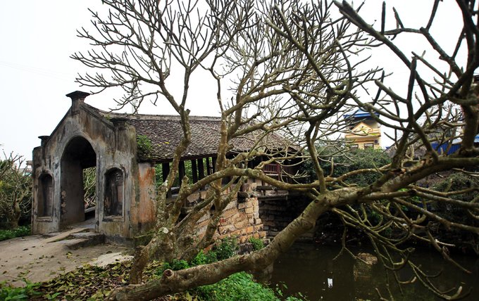 cau-ngoi-cho-thuong5