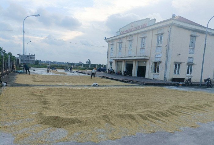 Thái Bình: Bến xe khách huyện bỏ hoang gây lãng phí 5