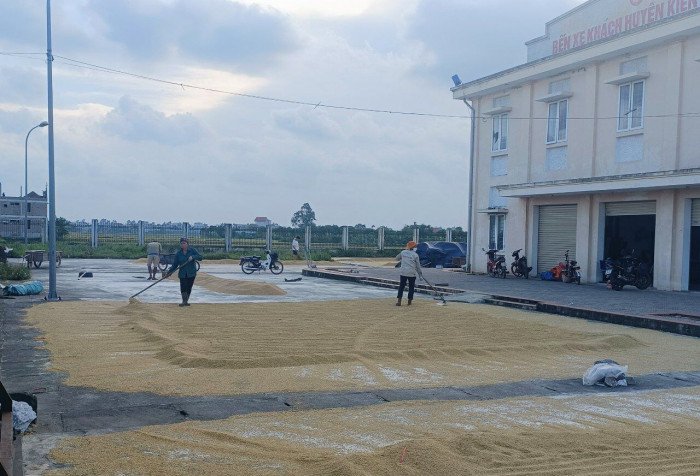 Thái Bình: Bến xe khách huyện bỏ hoang gây lãng phí 6