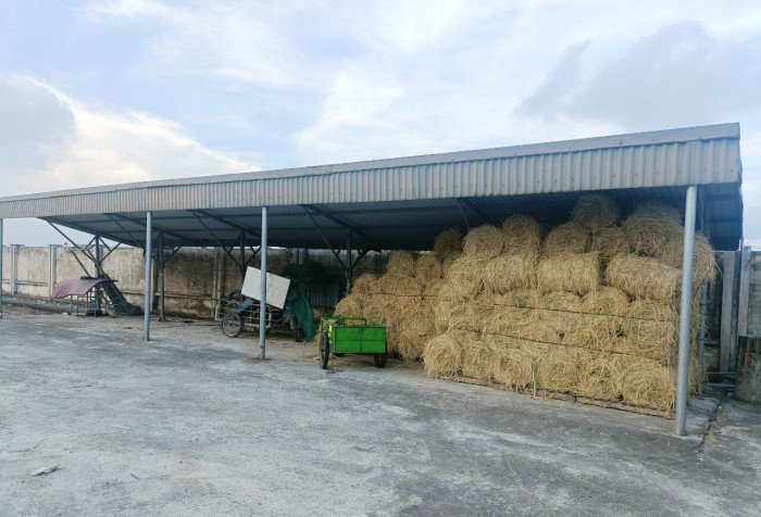 Thái Bình: Bến xe khách huyện bỏ hoang gây lãng phí 8