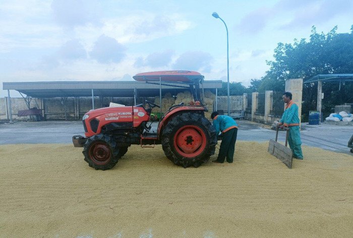 Thái Bình: Bến xe khách huyện bỏ hoang gây lãng phí 9