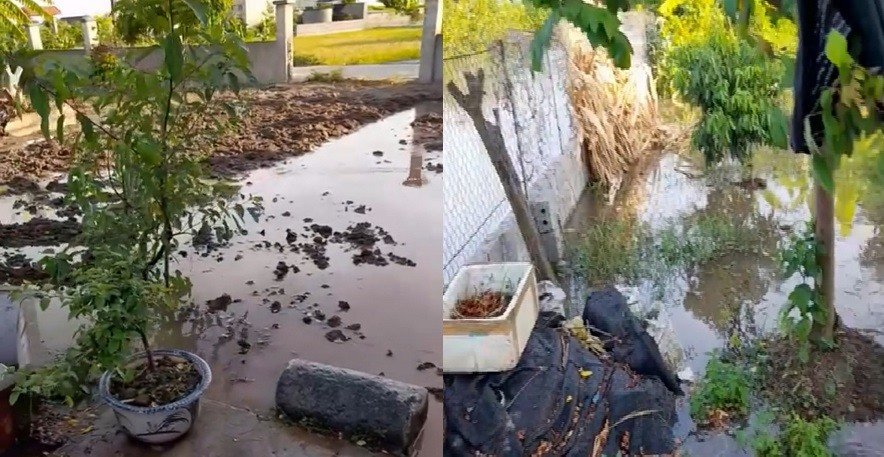 Không chỉ chân đê, các diện tích trong khu dân cư tại xóm 4, thôn Đông Biên Nam cũng bị nước dâng gây ngập úng. Ảnh: NDCC