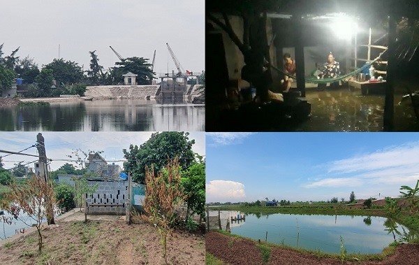 Thái Bình: Vận hành thuỷ nông cẩu thả, nhà dân ngập lụt, mất trắng thuỷ sản