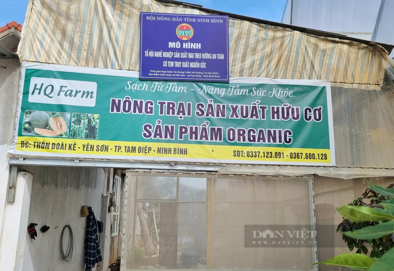 Ninh Bình: Trồng dưa lưới công nghệ cao thu nhập nhập gần 400 triệu đồng/năm - Ảnh 4. Ninh Bình: Trồng dưa lưới công nghệ cao thu nhập nhập gần 400 triệu đồng/năm - Ảnh 4.