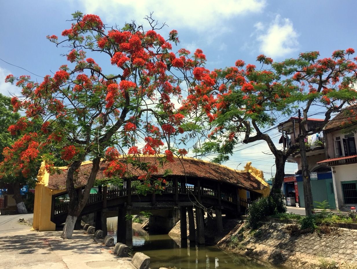 Cầu Ngói được bắc qua con sông Trung Giang