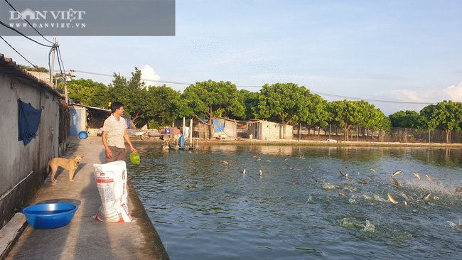 Nam Định: Nuôi đủ các loại cá, “ẵm” hơn nửa tỷ đồng chỉ sau 300 ngày - Ảnh 5.