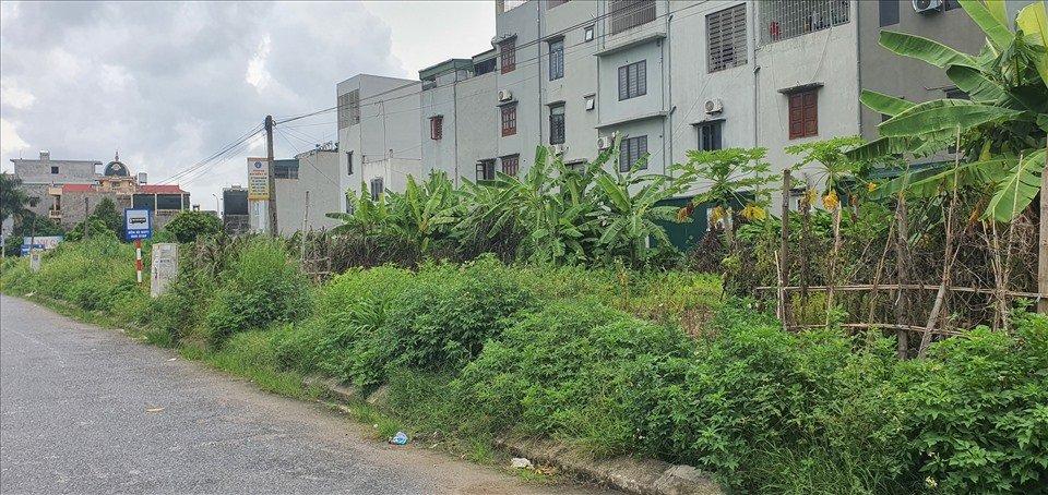 Hiện trạng khu đất 26 năm chưa giao cho 41 hộ dân. Ảnh: Trung Du