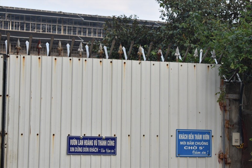 Những tưởng dịp cận Tết Nguyên đán, vườn địa lan Hoàng Vũ nổi tiếng này phải nườm nượp khách đến thăm, mua cây về chơi, nhưng khi chúng tôi đến, cổng vườn lại đóng kèm tấm biển được chủ nhân treo “Vườn lan Hoàng Vũ Thành Công xin dừng đón khách. Xin cảm ơn!“. Ảnh: T.D