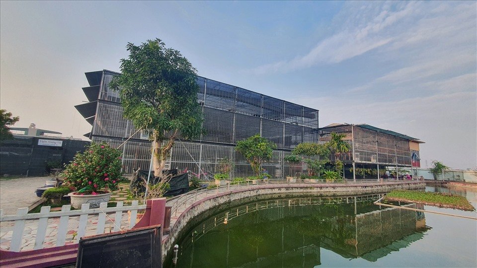 Khu nhà vườn được ông Công đầu tư xây dựng kiên cố, công phu để chuyên trồng, chăm sóc địa lan Hoàng Vũ. Ảnh: T.D