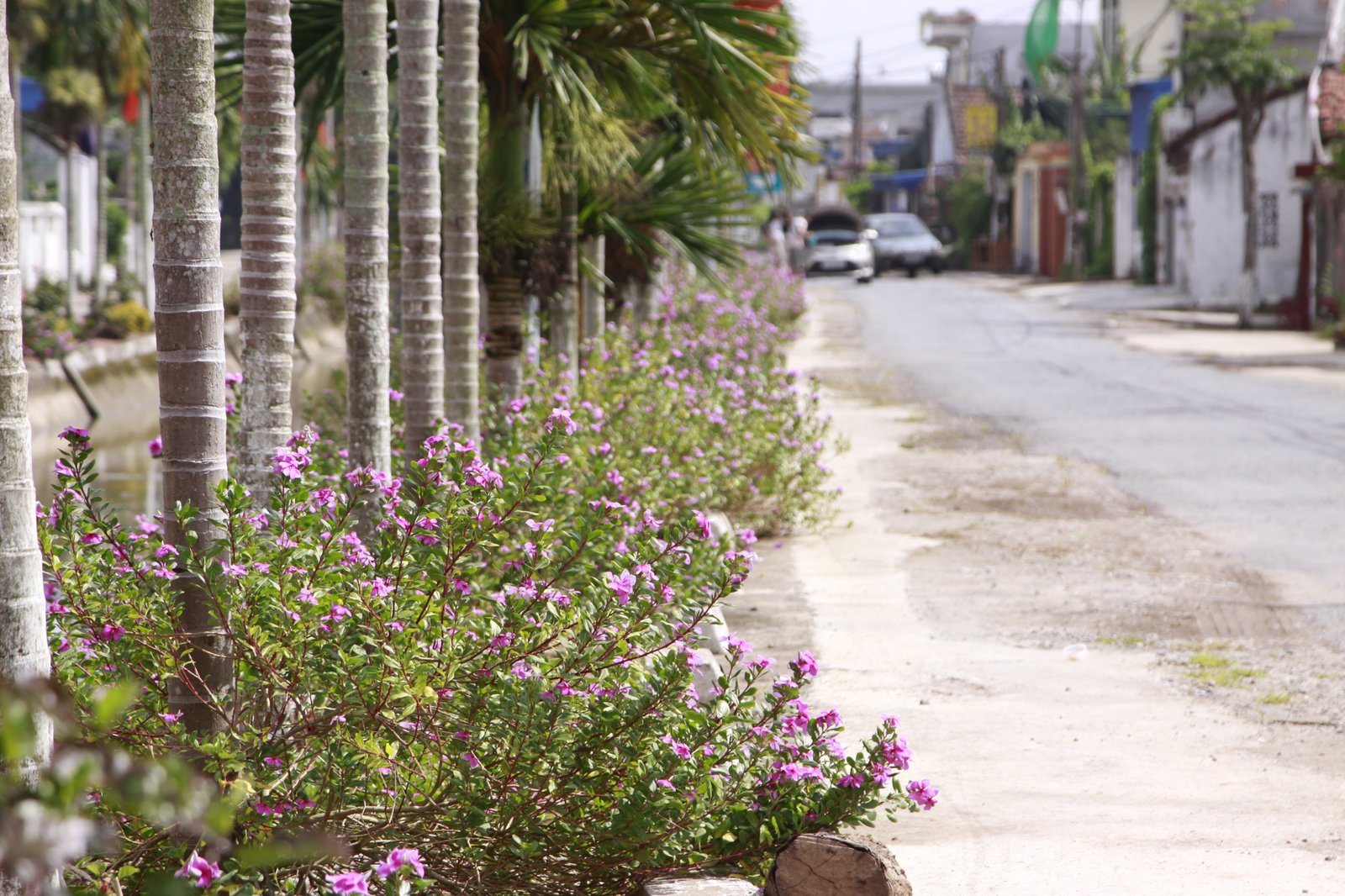 {keywords} {keywords}