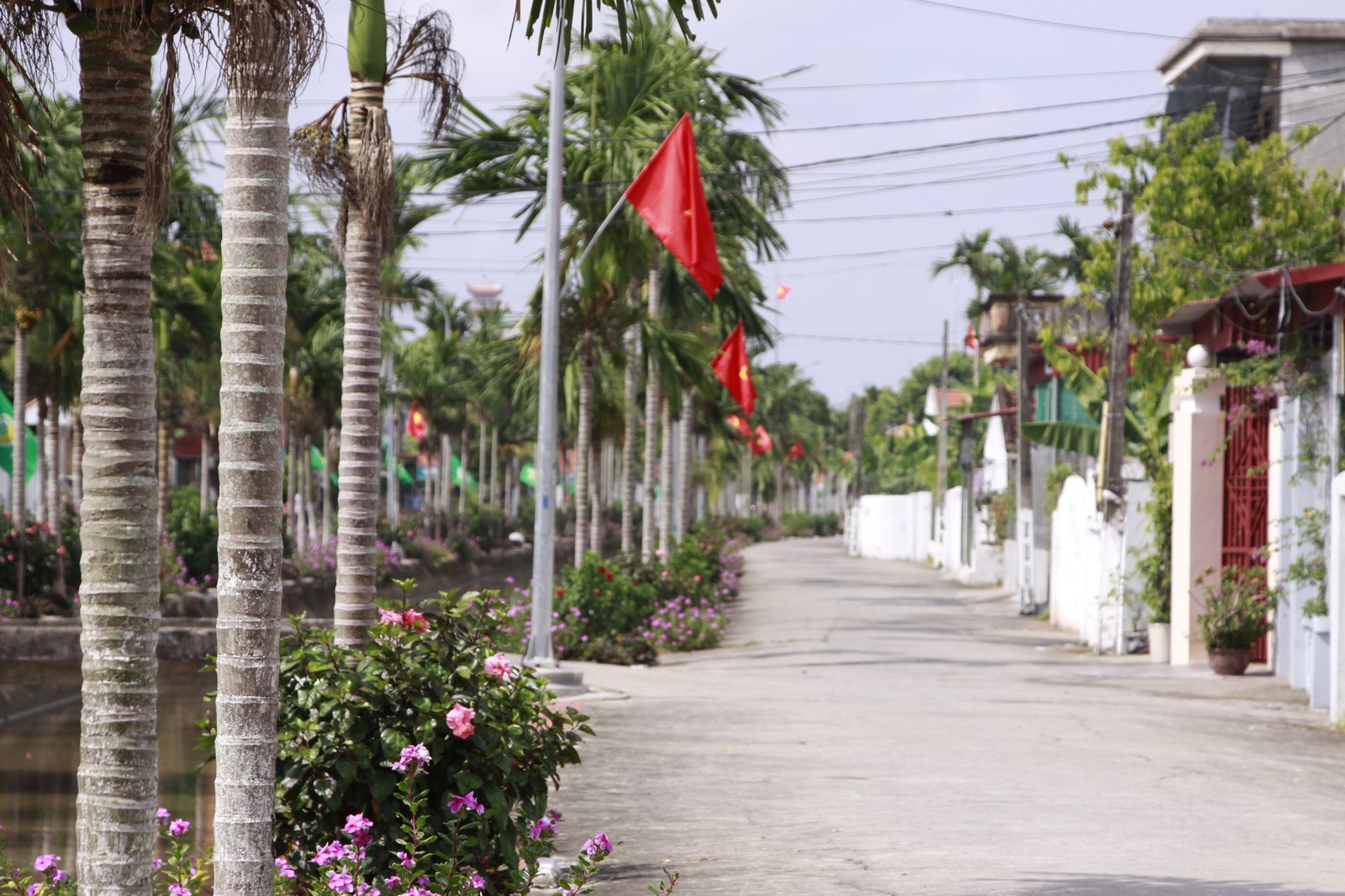 {keywords} {keywords}