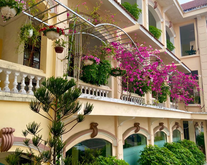 Trường THPT chuyên Lê Hồng Phong