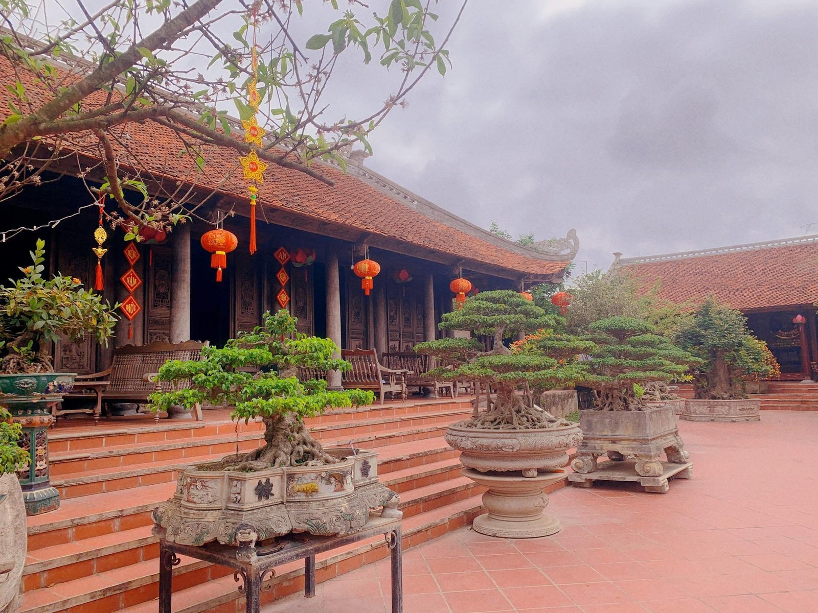 Biệt phủ 1.700m2 toàn cây cảnh bạc tỷ của gia đình ở Nam Định - 3