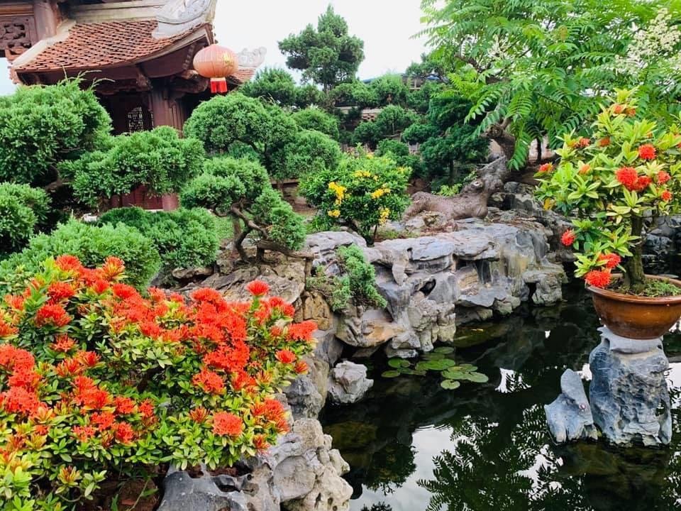 Biệt phủ 1.700m2 toàn cây cảnh bạc tỷ của gia đình ở Nam Định - 9