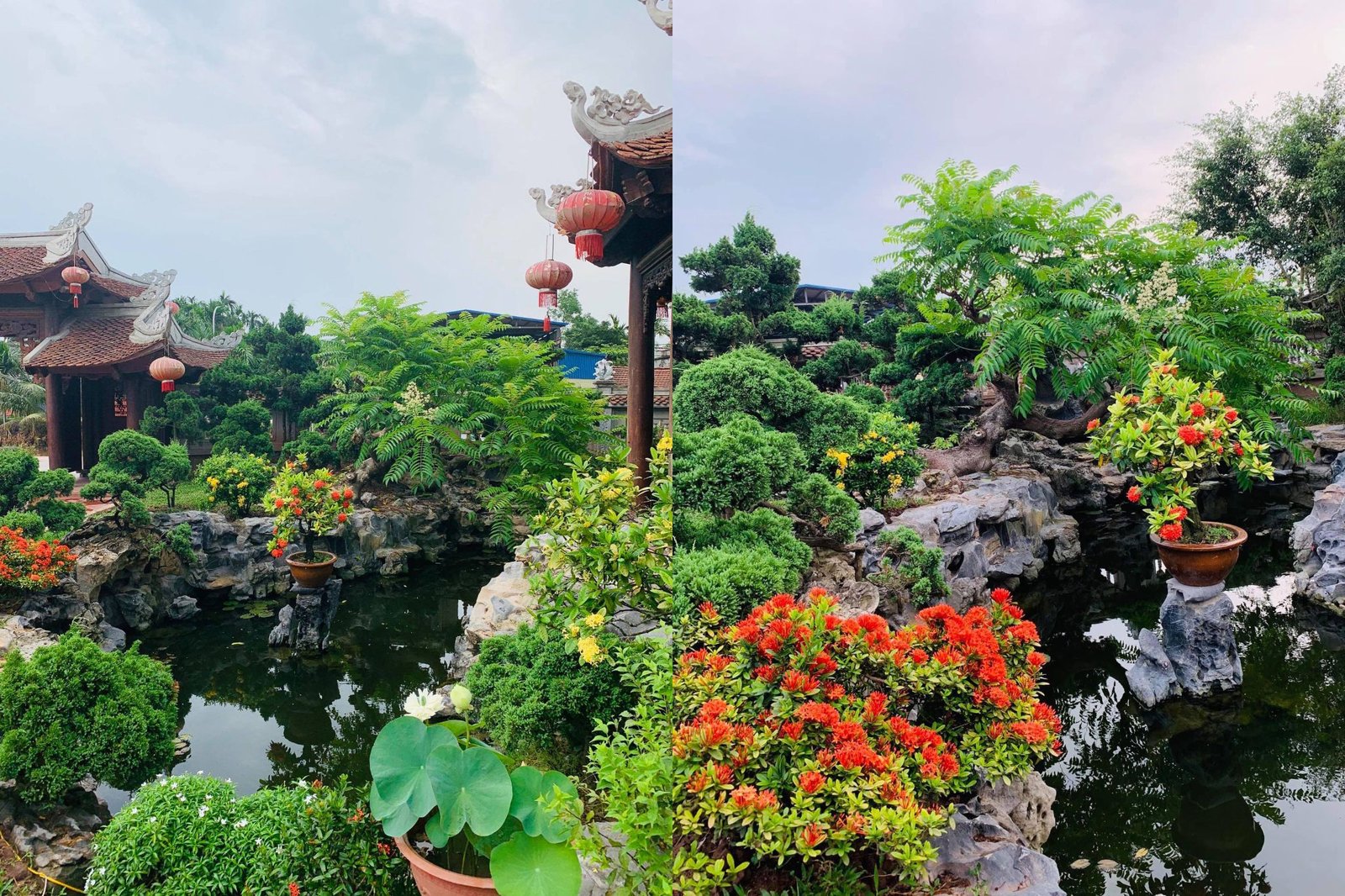 Biệt phủ 1.700m2 toàn cây cảnh bạc tỷ của gia đình ở Nam Định - 10