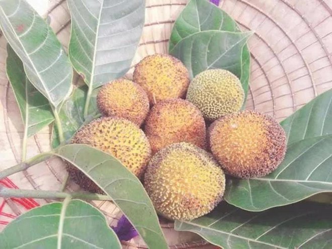 Loại quả đặc sản chỉ có ở Ninh Bình hoặc miền Tây, giá 120.000⁄kg mà luôn \'cháy hàng\' - Ảnh 2. Loại quả đặc sản chỉ có ở Ninh Bình hoặc miền Tây, giá 120.000⁄kg mà luôn \'cháy hàng\' - Ảnh 2.