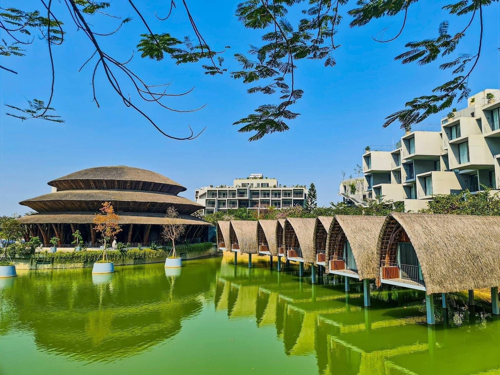 Ninh Bình: Tại sao du khách vẫn muốn trở lại những điểm tham quan dù đã đến - Ảnh 7. Ninh Bình: Tại sao du khách vẫn muốn trở lại những điểm tham quan dù đã đến - Ảnh 7.