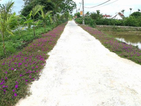 Ngỡ ngàng trước vẻ đẹp mới lạ của những con đường làng quen thuộc