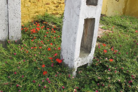 Những cột điện được tô điểm thêm sắc màu của loài hoa mười giờ