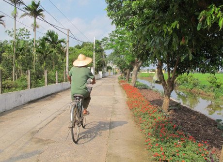 Hoa chạy dài dọc ven đường làng