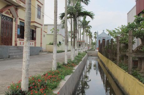 Bê tông hóa đường nông thôn nhưng nơi đây vẫn giữ được nét thanh bình làng quê vốn có